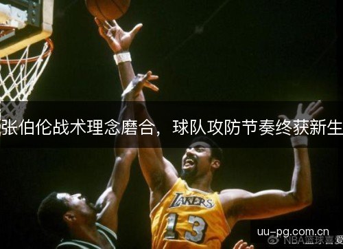 张伯伦战术理念磨合，球队攻防节奏终获新生
